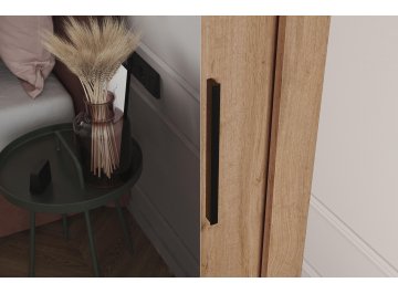 Шкаф-купе Дрим-2 1,5 м