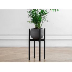 Цветочница Oxalis 40
