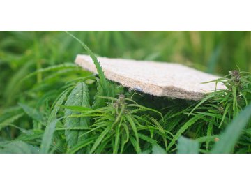 Матрас Amnesia L