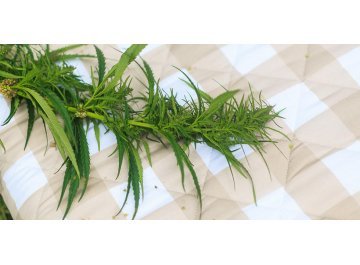 Матрас Indica