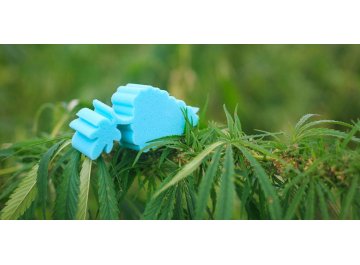 Матрас Sativa L