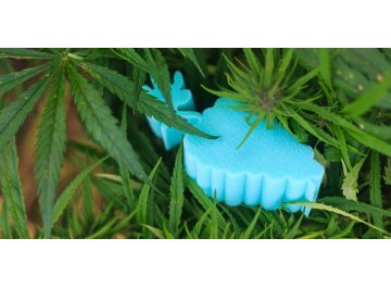 Матрас Sativa XL