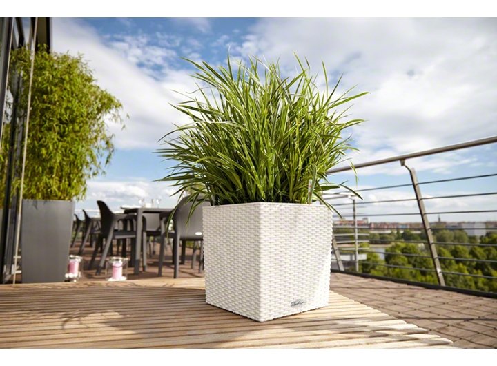 Кашпо Lechuza 15376 CUBE Cottage 30