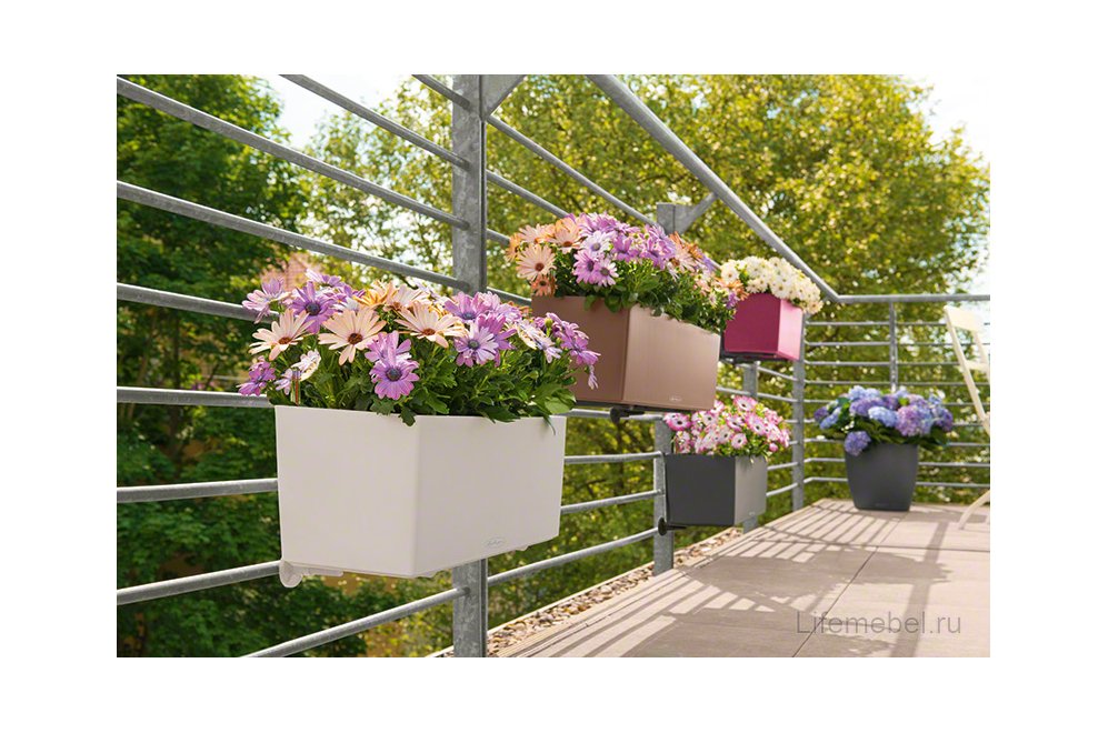 Кашпо Lechuza 15674 BALCONERA Color 50 мускатный