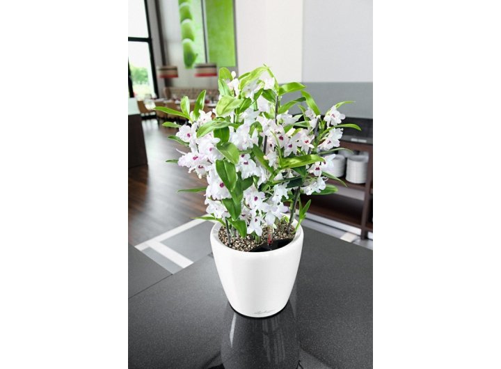 Кашпо Lechuza 16065 CLASSICO LS 35