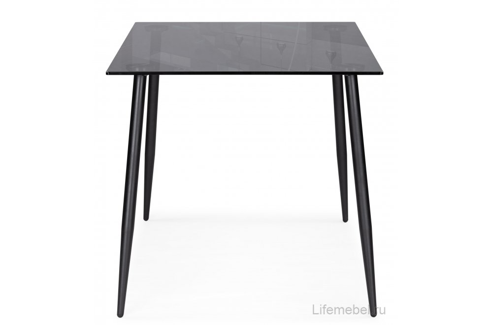 Обеденная группа Эрнал gray / black