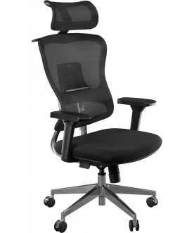 Компьютерное кресло Expert Ergo Fly