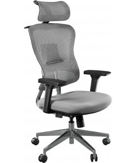 Компьютерное кресло Expert Ergo Fly