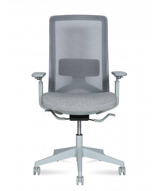 Компьютерное кресло Williams grey LB