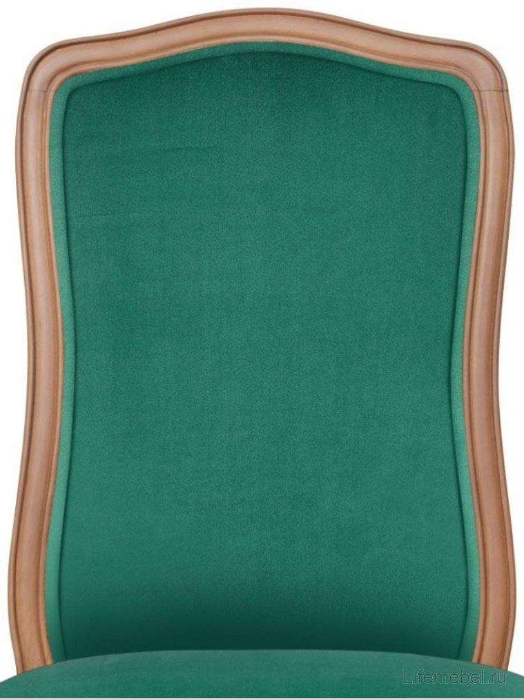 Стул Wenter Green V2