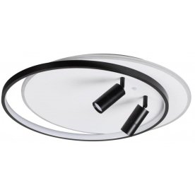 Потолочный светильник 5603/75CL