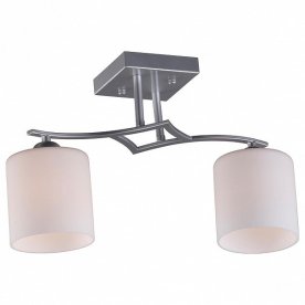 Потолочный светильник Pisticci OML-55307-02