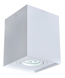Потолочный светильник LDC 8055-B WT