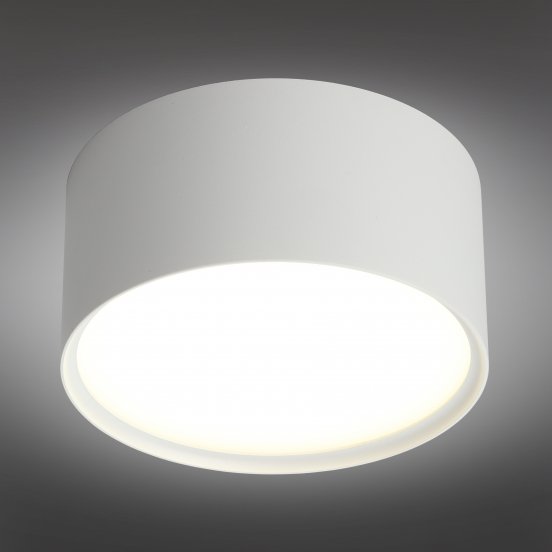 Потолочный светильник Salentino OML-100909-12