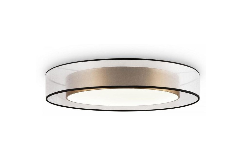 Потолочный светильник Zoticus FR6005CL-L48G