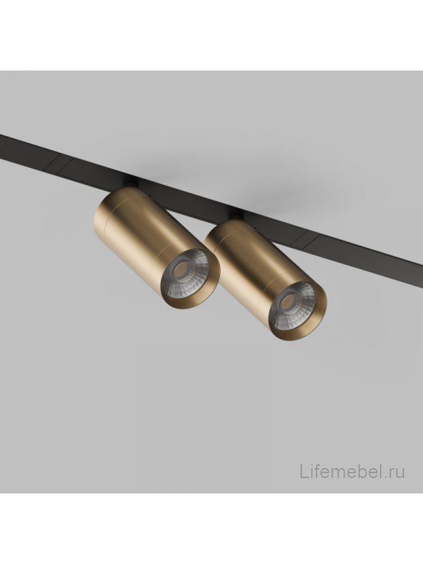 Трековый светильник Денкирс Смарт Спот DK8012-BG