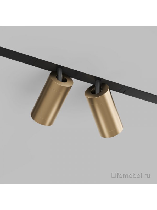 Трековый светильник Денкирс Смарт Спот DK8012-BG