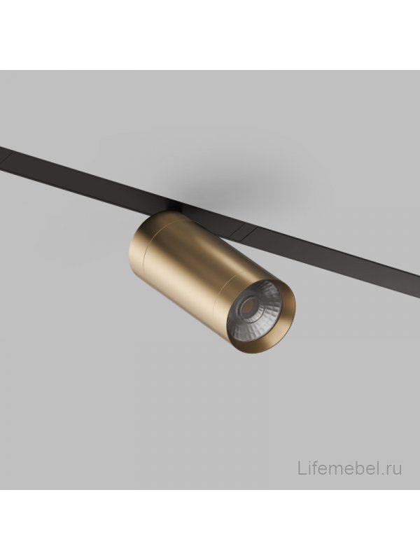 Трековый светильник Денкирс Смарт Спот DK8020-BG