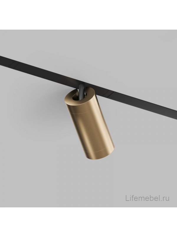 Трековый светильник Денкирс Смарт Спот DK8020-BG