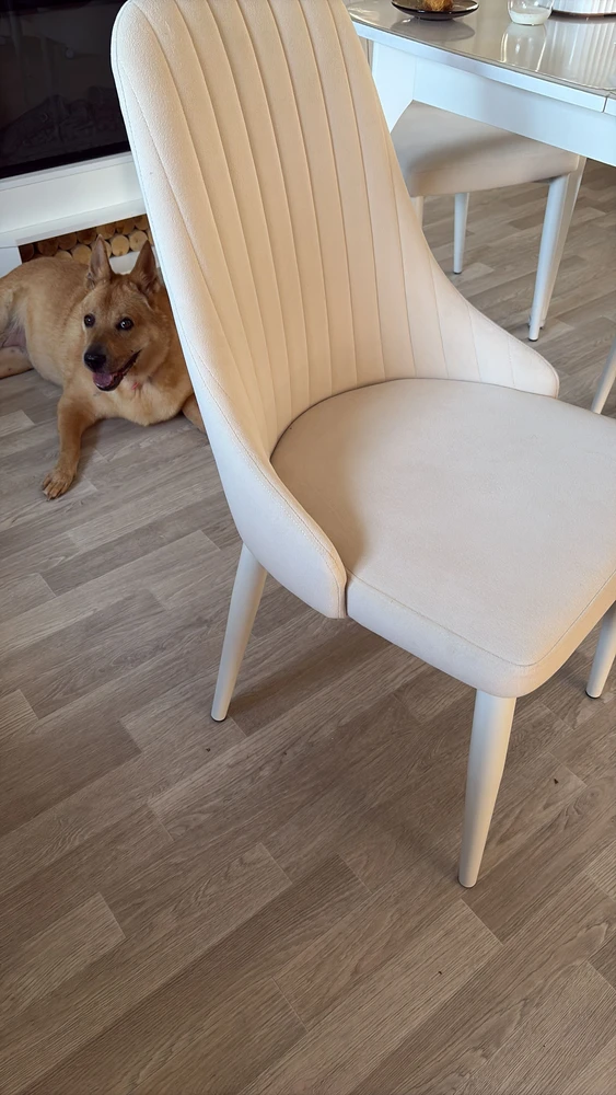 Стул на металлокаркасе Kora white / gray фото покупателя 75