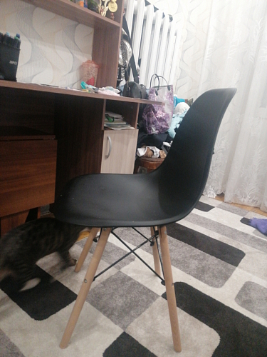 Стул Eames light green фото покупателя 400