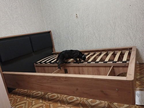 Полутораспальная кровать Клауд 140х200 парящая дуб крафт золотой / антрацит фото покупателя 754