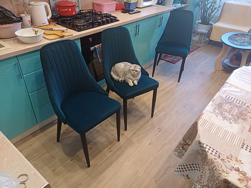 Стул на металлокаркасе Kora white / gray фото покупателя 564