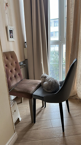 Стул на металлокаркасе Kora white / gray фото покупателя 454