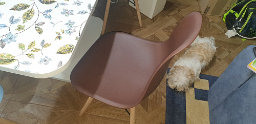 Стул Eames light green фото покупателя 375