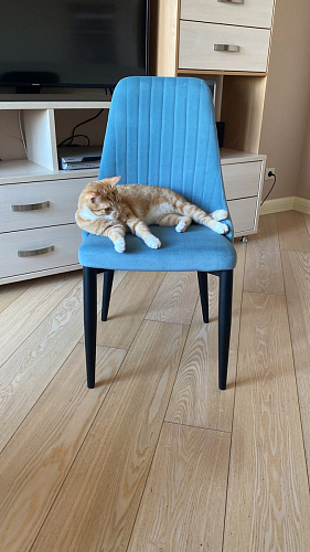 Стул на металлокаркасе Kora white / gray фото покупателя 289