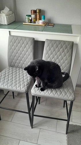 Барный стул Teon gray / black фото покупателя 34