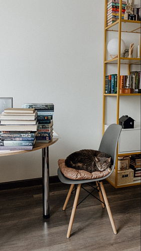 Стул Eames light green фото покупателя 164