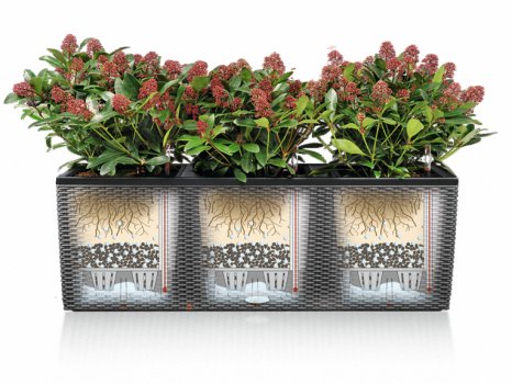 Кашпо Lechuza 18162 CUBICO 50 Кофе металлик